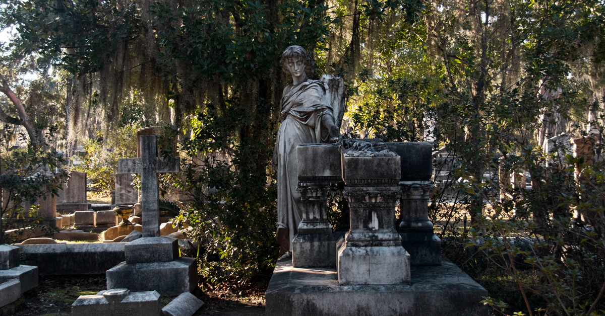 savannah